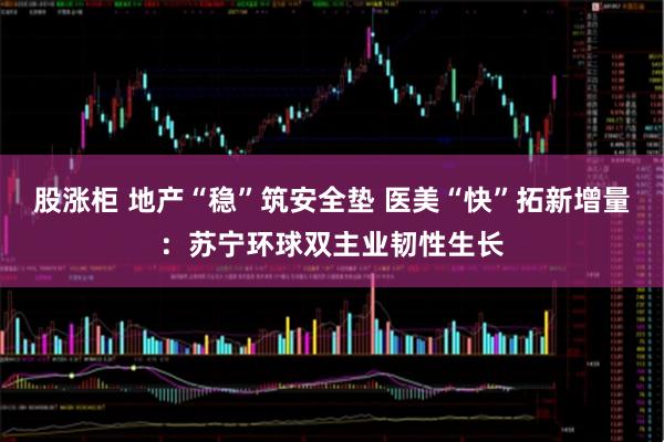 股涨柜 地产“稳”筑安全垫 医美“快”拓新增量：苏宁环球双主业韧性生长