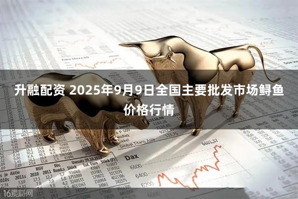 升融配资 2025年9月9日全国主要批发市场鲟鱼价格行情