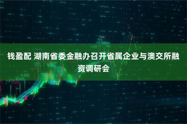 钱盈配 湖南省委金融办召开省属企业与澳交所融资调研会